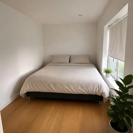 Apartment Prestvannet Arctic With Free Parking